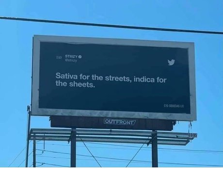 Prohibited art actress archive