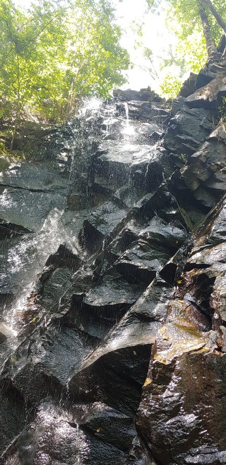 Prince Vegeta model sex galleries