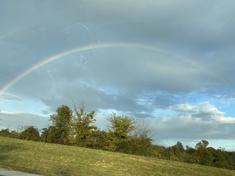 Scorpionbaby8 erotic model pics