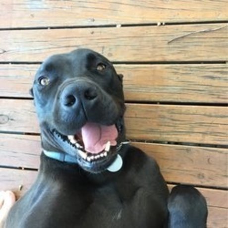 sconcey sex actress img