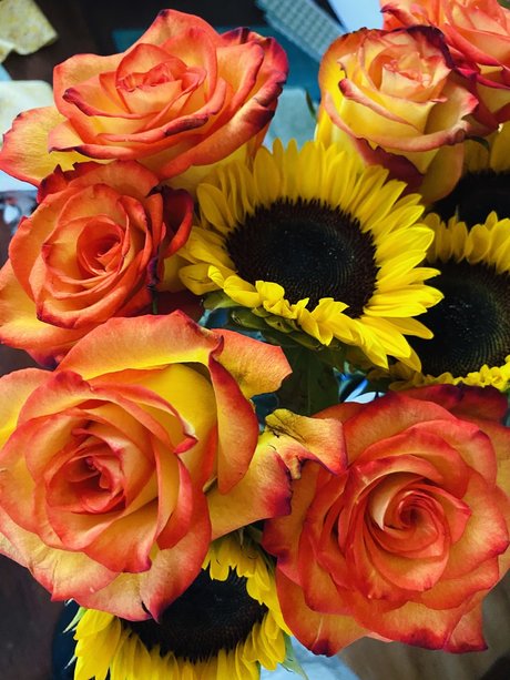 Geni star sex pictures