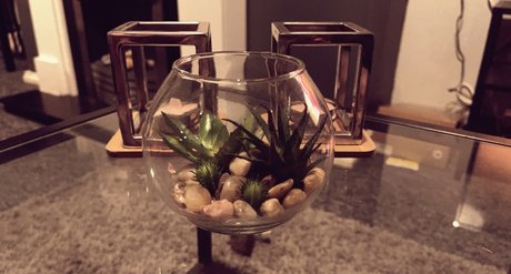 Queen Rhiannon pornstar hd picture