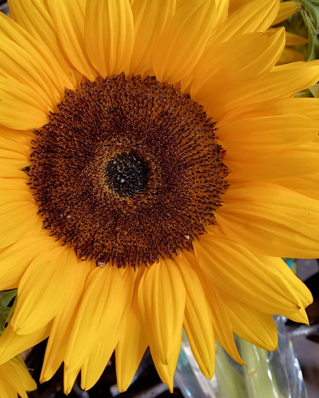 Queen M pornographic model pics