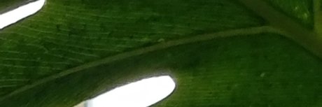 QuantumOrgasms art model gallery