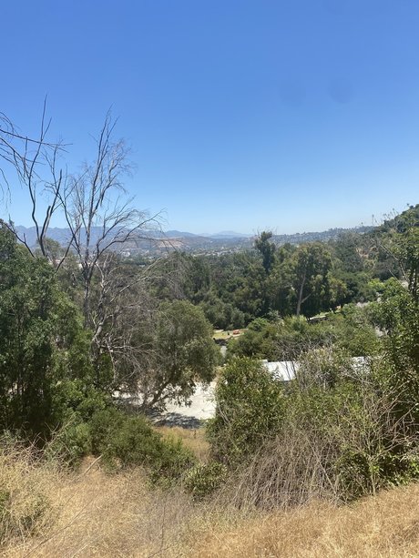 Pu y Princess_ star high quality picture