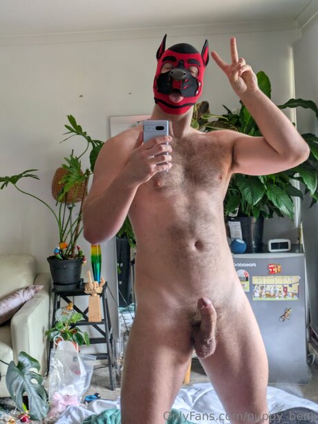 Pup Benji pornstar adult pics