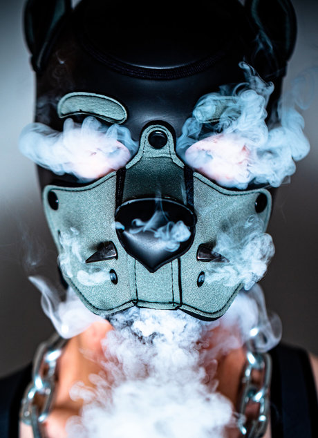 PupLeech sexy star pictures