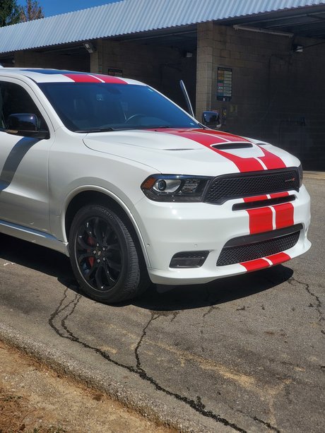 Matt Robinson beautiful pornstar image