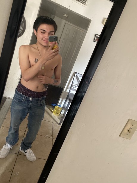 raleigh top star archive