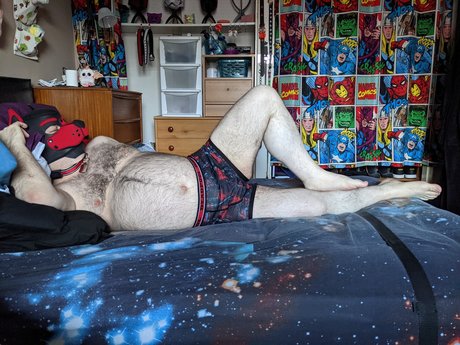 Pup Quint high quality star image