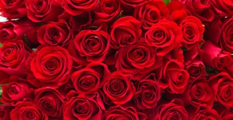 eastafricangoddess model nudes photos