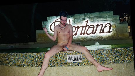 DANTE DARK_ star art gallery