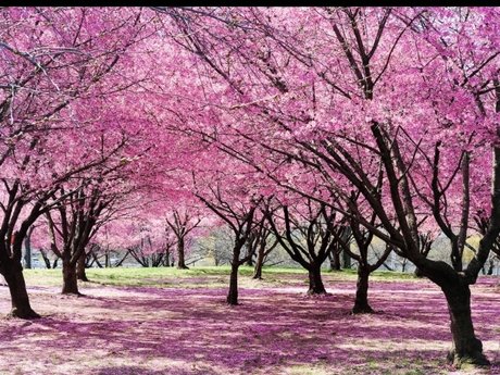 Quinn Hale hot pornstar picture