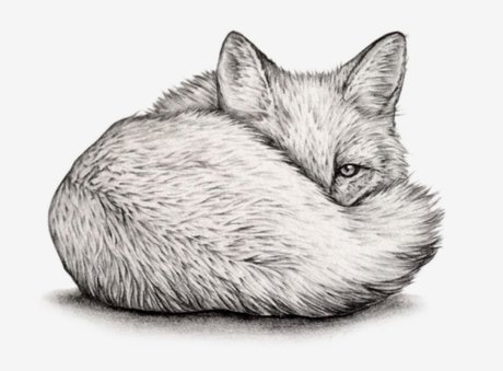 Quinn Fox pornstar free pictures