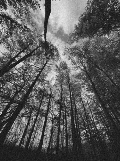 Leilalu perfect pornstar photo