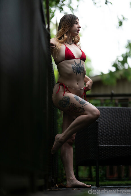 _dearbexfree high quality pornstar photo