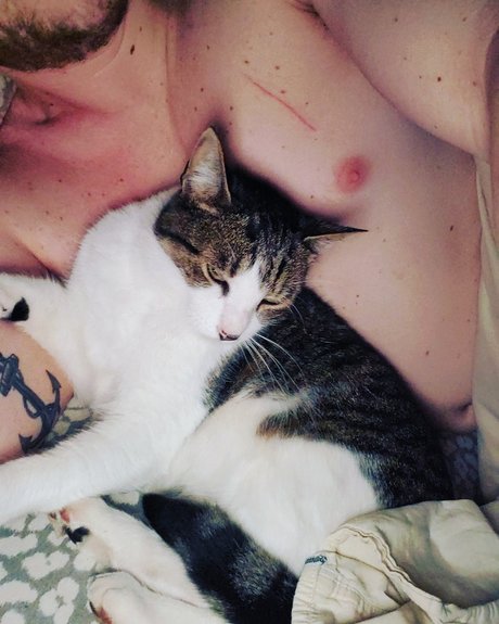 Donnie Bunz sex pornstar img