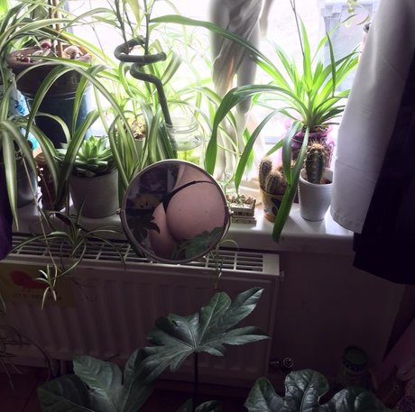 thedevilwearsdrama exclusive star photo