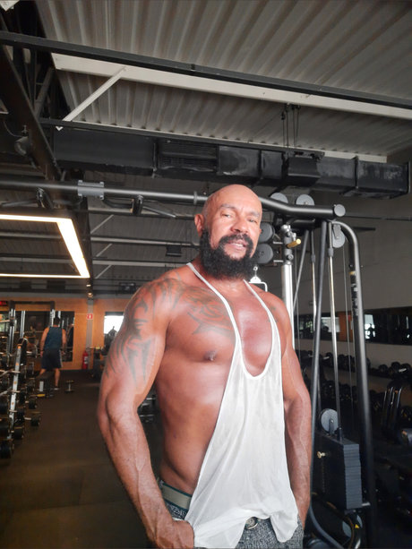 Tigr o top pornstar galleries