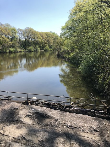 RainMan95 nice star images