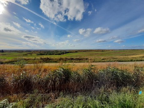 Rainbow James nice actress galleries