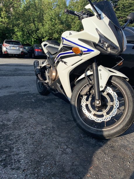 Anthony Pappalardo star porn pics