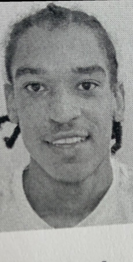 XXDingoDick star pretty galleries