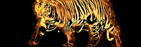 DaDaddy beautiful star images