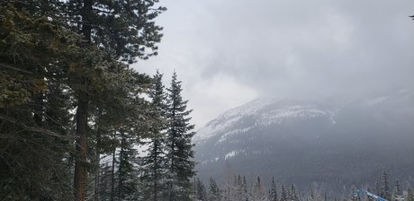 Liam B sexy pornstar photos