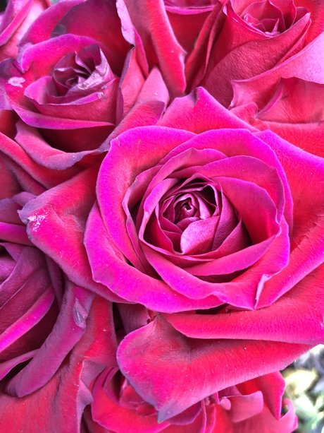 Kay Mella star free images