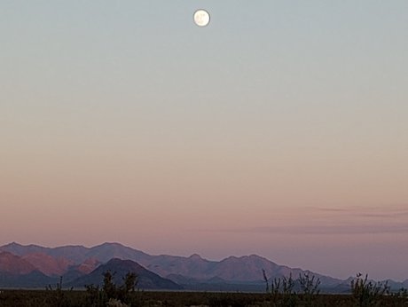 DivineMissAo top actress photos