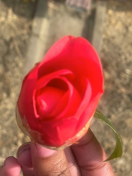 Milkkkkkmarie_ nice actress images