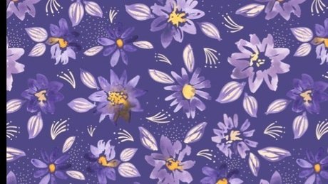 Feet of Daf_ model exclusive gallery