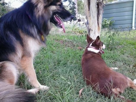 Kairu top star images