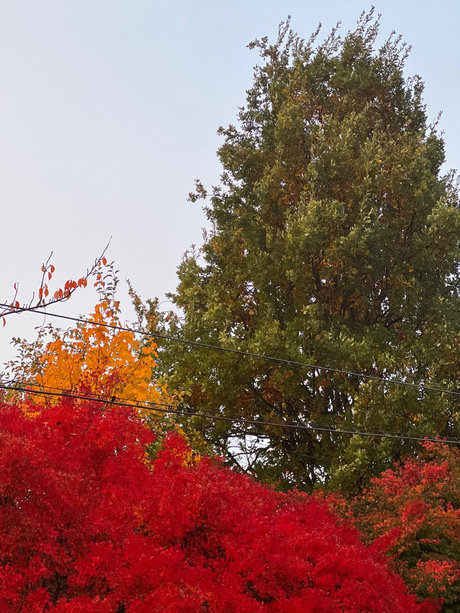 Storytime nice actress photo