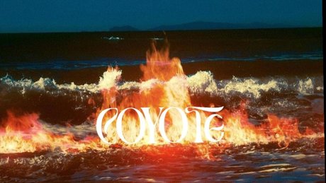 c o y o t e nice actress img