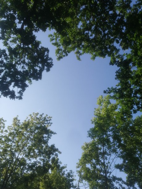 Ravenica best actress img