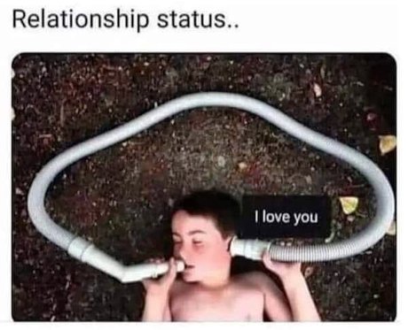 T B exclusive star images