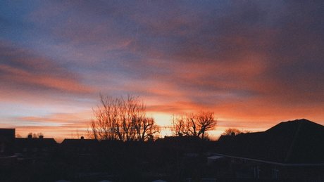 peter pan art star picture