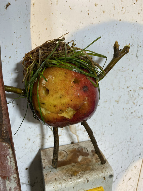 Rich Rowe hot star pics