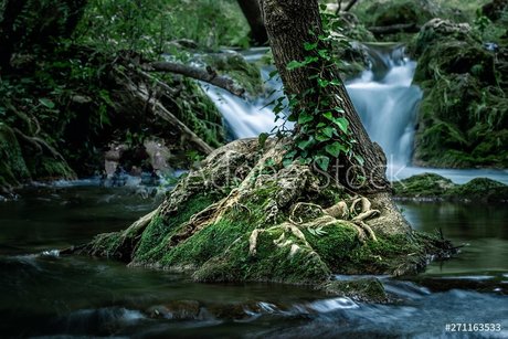 RedRhino pretty actress photos