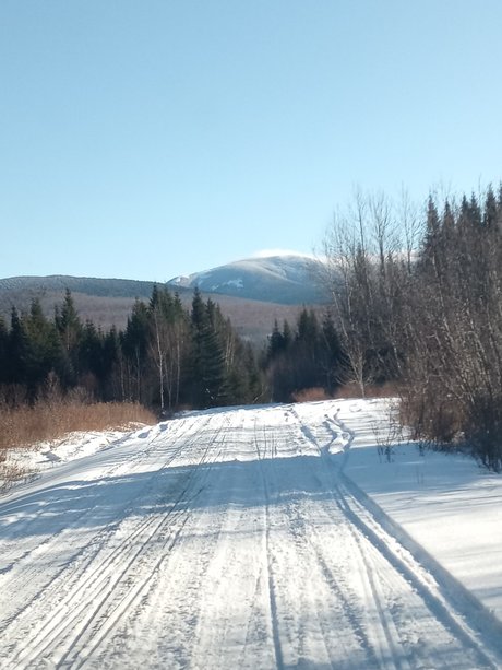 Rhemm model exclusive pic