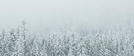 Anton Cash high quality model pictures