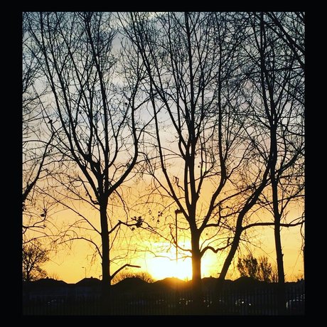 RevolutionBlues high quality model pics