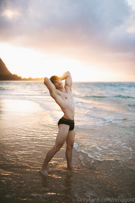 Reno Gold_ porn actress images