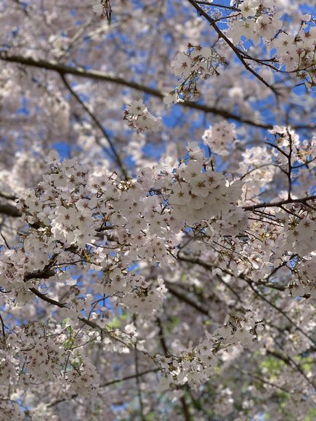 Queen feet model naked photos