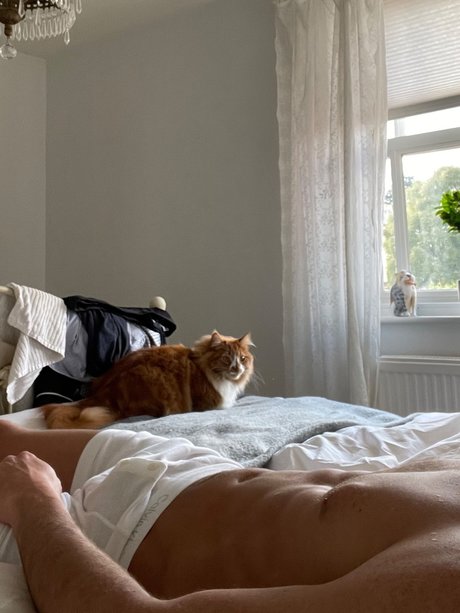 Regico model sexy photo