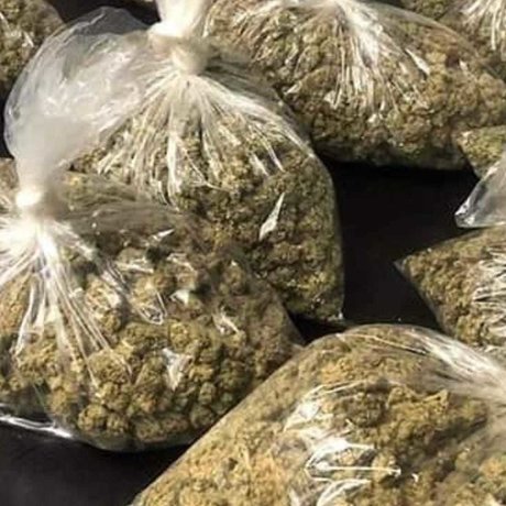 Red Tage1685 pornstar art gallery