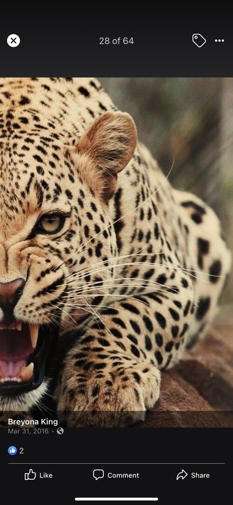 Life with RedRose porn star pic