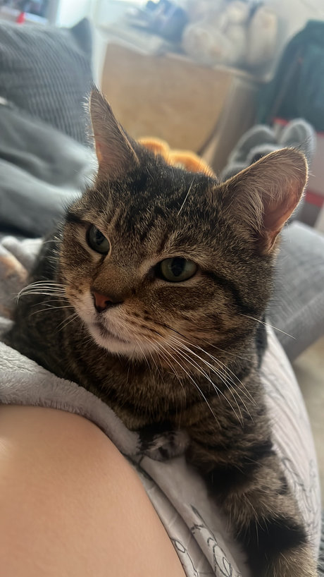 RedHairedKitten porn model photos